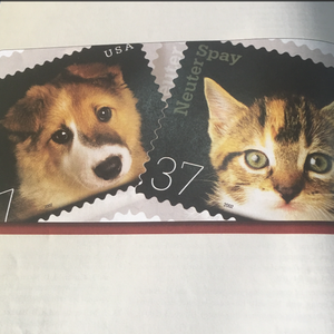 欧美一区二区A片视频
