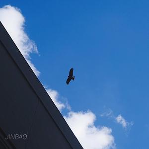 欧美一区二区A片视频
