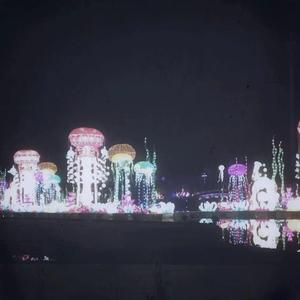 欧美一区二区A片视频
