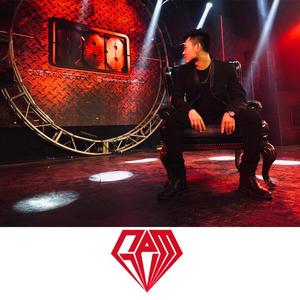 欧美一区二区A片视频
