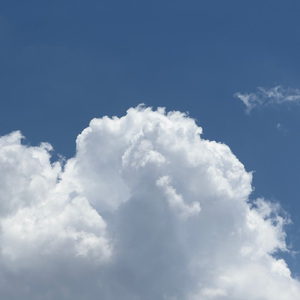 欧美一区二区A片视频
