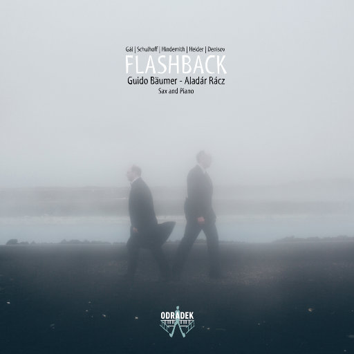 欧美一区二区A片视频
